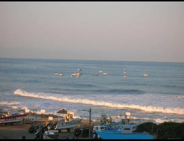 BUSINESS FOR SALE IN SHELLY BEACH